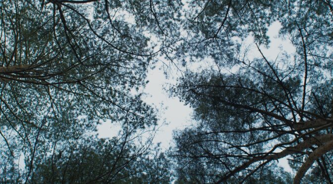 Промоција књиге КРАЈ ЗАПАДНЕ ДОМИНАЦИЈЕ